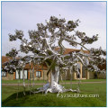 Scultura ad albero in acciaio inox grande giardino